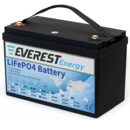 фото Литиевая батарея Everest Energy LFP-36V300А Литиевая батарея Everest Energy LFP-36V300А