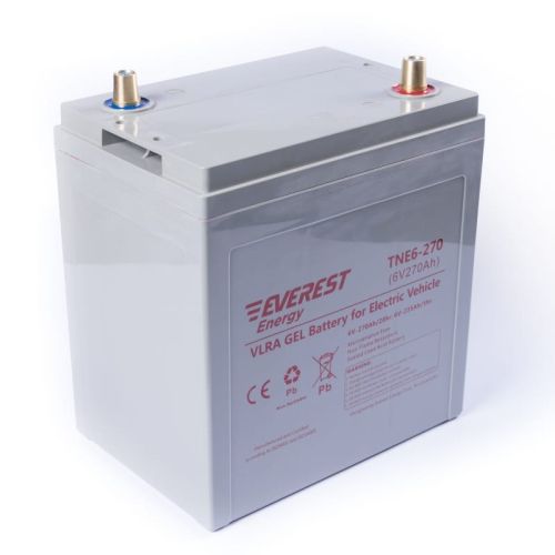 фото Гелевая батарея Everest Energy TNE 6-270 фото 3 Гелевая батарея Everest Energy TNE 6-270 фото 3