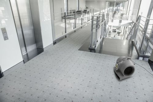 картинка Сушилка для ковров Karcher AB 20 Ec фото 3 картинка Сушилка для ковров Karcher AB 20 Ec фото 3