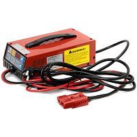 Зарядное устройство Everest Energy 24V 100 Amps. Lit Ion