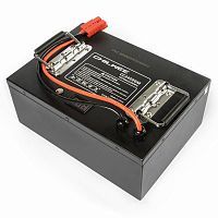 Литиевая батарея Chilwee CC-2450-GM