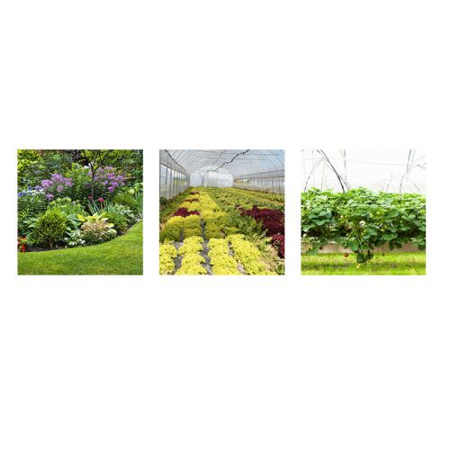 картинка Насос мембранный Comet APS 121 S (115 л/мин; 50 бар) фото 5 картинка Насос мембранный Comet APS 121 S (115 л/мин; 50 бар) фото 5